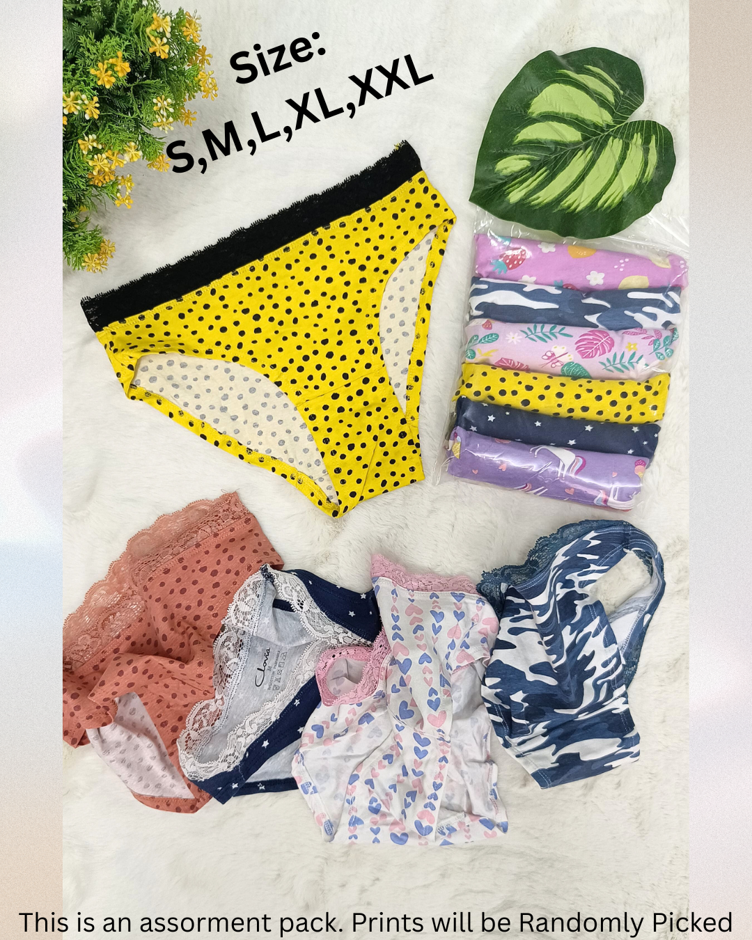 Malachi Women's Bikini Lace Panties Pack Of 6